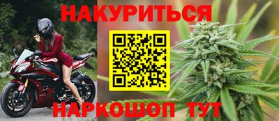 сатива Краснознаменск