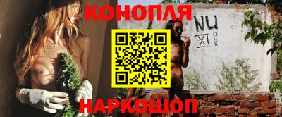 сатива Краснознаменск