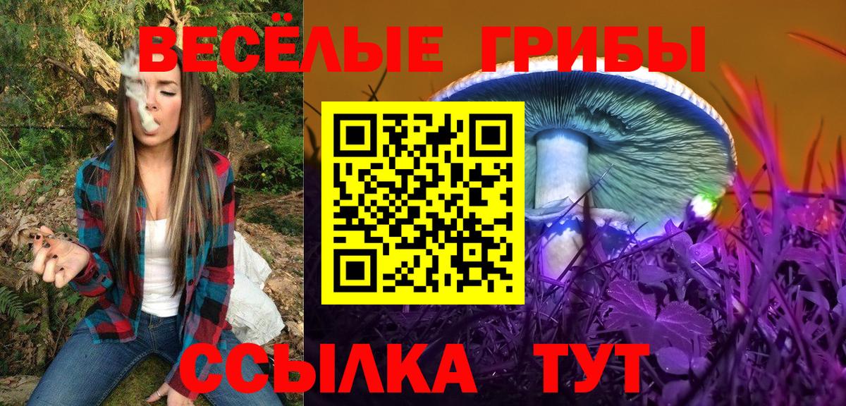 Псилоцибиновые грибы Psilocybine cubensis Звенигород