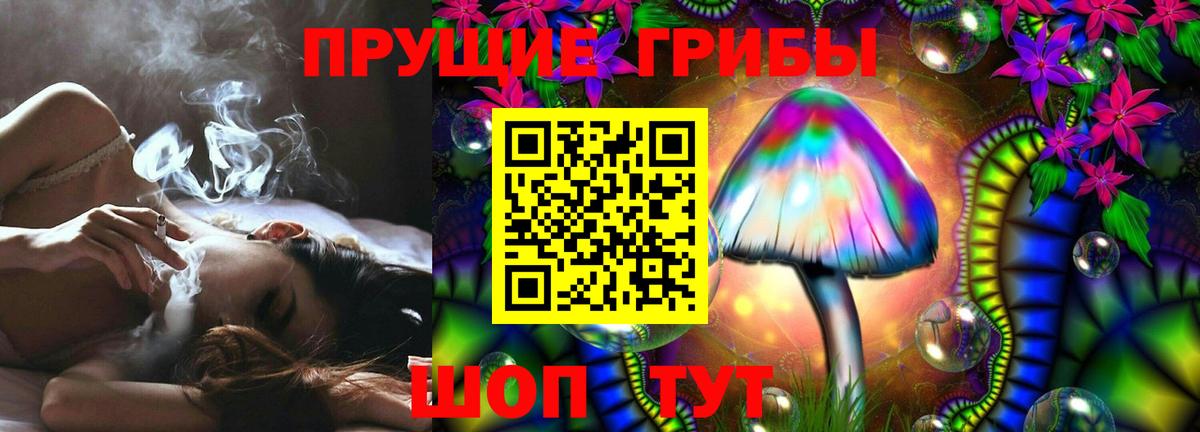 Звенигород  Псилоцибиновые грибы мицелий  Вход с VPN 
